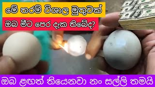 ඔබ ළඟක් තියෙනවනං සල්ලි තමයි  nidan salakunu  review antique  Yakkula Rawana [upl. by Myca942]