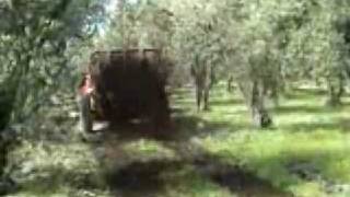 Manure Spreader [upl. by Auqinat]