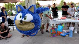 Sonic the Hedgehog Pinata [upl. by Vescuso105]