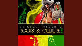 Roots and Culture Mix Vol1 [upl. by Adnanref758]