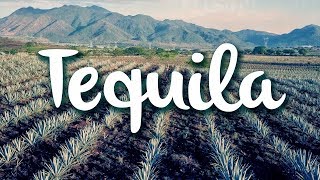 Tequila Jalisco qué hacer en el pueblo mágico [upl. by Alys522]