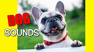 Dogs Barking Sound Effects [upl. by Elihu]