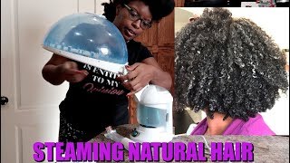 Steaming and Deep Conditioning my Natural Hair 4 TYPE [upl. by Longerich]