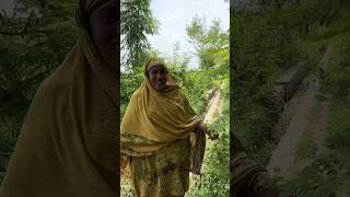 Wapsi Aana Bhool Gai rabialife rabiaahmadvlog shortvideo villagelife [upl. by Anahsohs]