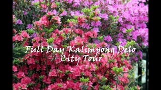 Kalimpong DeloDeoloPine View Full Day Sightseeing Points  Bong Travellers [upl. by Lauder]