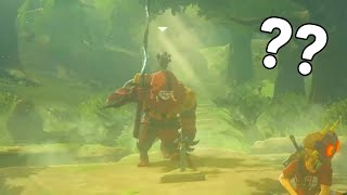 Getting a Yiga to Pull the Master Sword  Zelda Breath of the Wild [upl. by Thorsten]