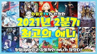 와일로기대 이상으로 정말 좋았어요【21년 2분기 최고의 애니 TOP 44】 애니리뷰 amp 애니추천 [upl. by Clymer549]