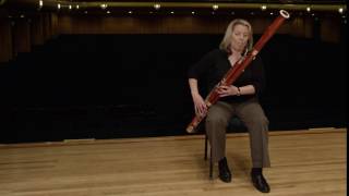 What does a bassoon sound like Ode to Joy [upl. by Eskil]