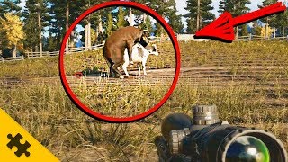 Far Cry 5  СЕКРЕТ БЫЧЬИХ ПОЛОВЫХ ОРГАНОВ и ФЕРМЫ ДЕЙВЕНПОРТА [upl. by Dihsar]