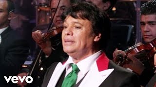 Juan Gabriel  Abrázame Muy Fuerte En Vivo Desde Bellas Artes México 2013 [upl. by Ordnagela494]