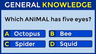 How Good Is Your General Knowledge Take This 30question Quiz To Find Out challenge 67 [upl. by Atinuhs618]