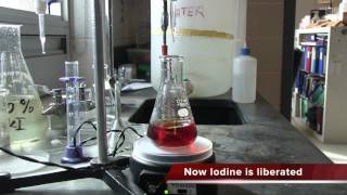 Standardization of Thiosulfate using KIO3 and Released Iodine [upl. by Yesnnyl]