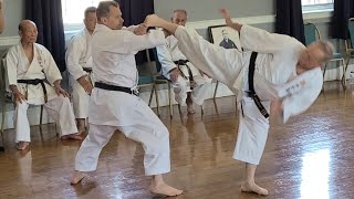 Uechi Ryu Sanseiryu Bunkai impromptu performance by Sensei Chip Quimby and Sensei Joe Montanino [upl. by Lem]