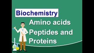 Biochemistry The Amino acids Peptides and Proteins [upl. by Crooks752]