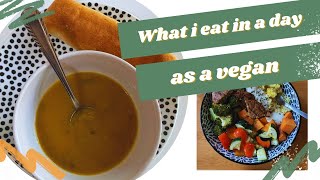 VEGAN WHAT I EAT IN A DAY  Met oa smoothiebowl en vegan gevulde pumpkin spice koek [upl. by Tiffi125]