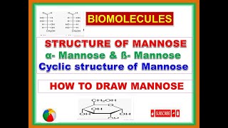 structure of Mannose Biomolecules epimers epimerisation cyclic structure of mannose examanomer [upl. by Ahcsas]