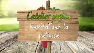 Revitaliser la pelouse [upl. by Walls]