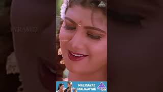 Maligayae Maligaiyae Video Song  Ninaithen Vandhai Movie Songs  Vijay  Rambha  ytshorts [upl. by Miculek]