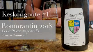 Le vin où tout a commencé  Un Romorantin de Claude Courtois [upl. by Odey]