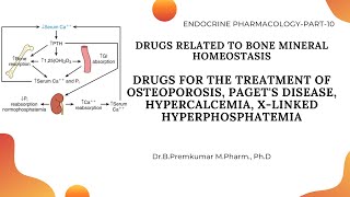 Drugs acting on Bone Mineral HomeostasisDrugs for OsteoporosisEndoPart10 [upl. by Pammi]