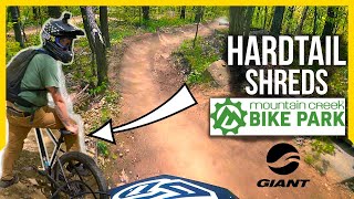 Giant Fathom HARDTAIL TESTS Mountain Creek Downhill  RAW Breakout to Domboo [upl. by Ynaffet656]