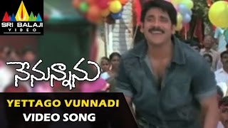 Nenunnanu Telugu Movie Part 1213  Nagarjuna Aarti Aggarwal Shriya  Sri Balaji Video [upl. by Ariajaj658]