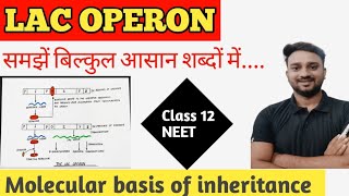 Lac Operon in Hindi  Molecular Basis of Inheritance By Lalit sir [upl. by Kos]