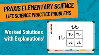 Life Science Practice Problems for Praxis Elementary Science 5005 [upl. by Eneliak16]