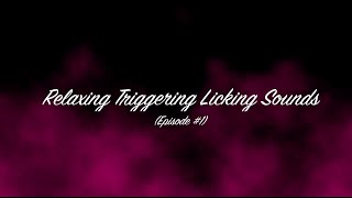 Triggering Sounds And Licking ASMR  EPISODE 1 [upl. by Robb]