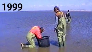 FLASHBACK 1999 Amrum  Föhr Wattenmeer Nordsee  Ebbe  Low tide Fischer  Fisherman [upl. by Edobalo]