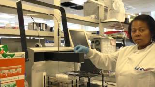 Testing antinuclear antibodies ANA – Francisca Hodge and Hazel Hinds [upl. by Grubb]