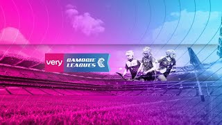 WATCH  Very Camogie 1B League Final  Wexford v Dublin [upl. by Nileak]