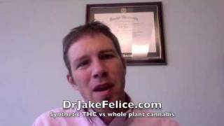 Synthetic THC vs whole plant cannabis [upl. by Modeste]