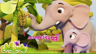 ചാഞ്ചാടുണ്ണി ചരിഞ്ഞാട്  Chanjadunni Charinjadunni  Animation Song  Elefaanty Malayalam [upl. by Treborsemaj]