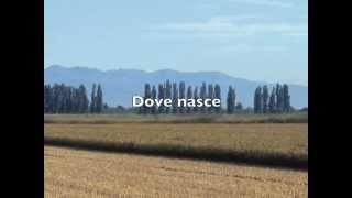 Dove nasce il Riso Nano Vialone Veronese IGP [upl. by Brooking392]