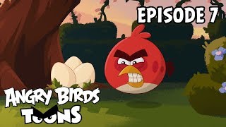 Angry Birds Toons  Just So  S2 Ep7 [upl. by Leen]