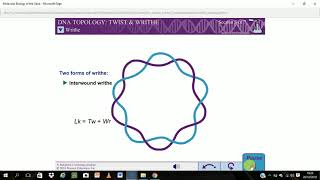 DNA Topology twist and writhe [upl. by Mir313]