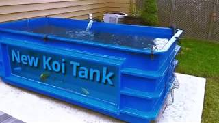 New Koi Tank  Fiberglass tank with Window [upl. by Alioz]