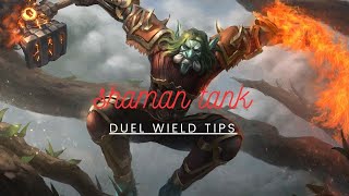 should a shaman tank dual wield in SOD [upl. by Buff]