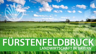 Landwirtschaft in Bayern Landkreis Fürstenfeldbruck in Oberbayern [upl. by Cartwell320]