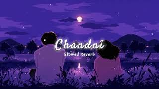 Chandni slowed reverb  Sachet Parampara video trendingvideo viralvideo [upl. by Heddi]