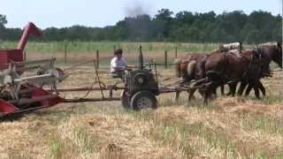 Amish Harvest in Holms County Ohio [upl. by Sorci]