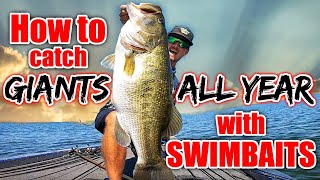 How to Catch Fish YEAR ROUND with Big Swimbaits BEST Bait for Each Situation [upl. by Chaffee]