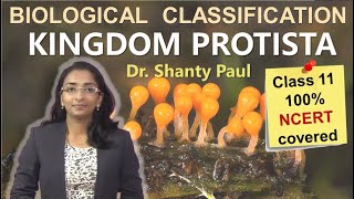 Kingdom Protista  Biological classification lecture 3 [upl. by Yltsew]