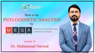 MEGA  How to construct Phylogenetic Tree  Lecture 14  Dr Muhammad Naveed [upl. by Malloy915]