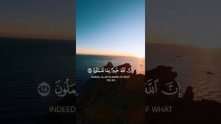 Maxa kaqurux bdn gacanta faafisa hadalka alle كلام الله quran islam allah muslim Zaakmooha [upl. by Aihsemat172]