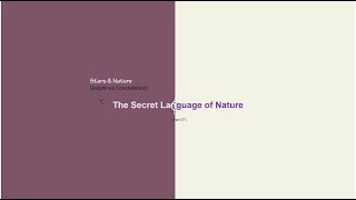 Delphinus  The secret language of nature 37 [upl. by Elexa]