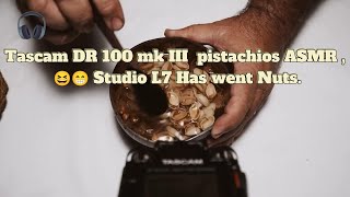 Tascam DR 100 mk III Pistachio shells ASMR  😆😁 Studio L7 Has went Nuts [upl. by Nonnahs]