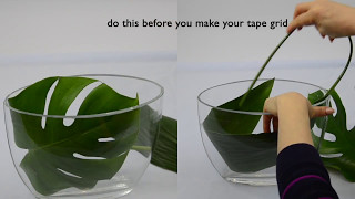 Ikebana tips by Junko 22 Its clearly creative [upl. by Ocisnarf802]