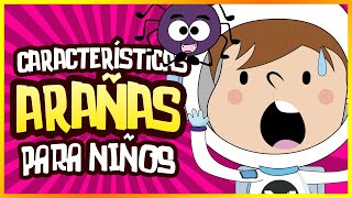 🎇 Características de las ARAÑAS para NIÑOS 😄 [upl. by Sair920]